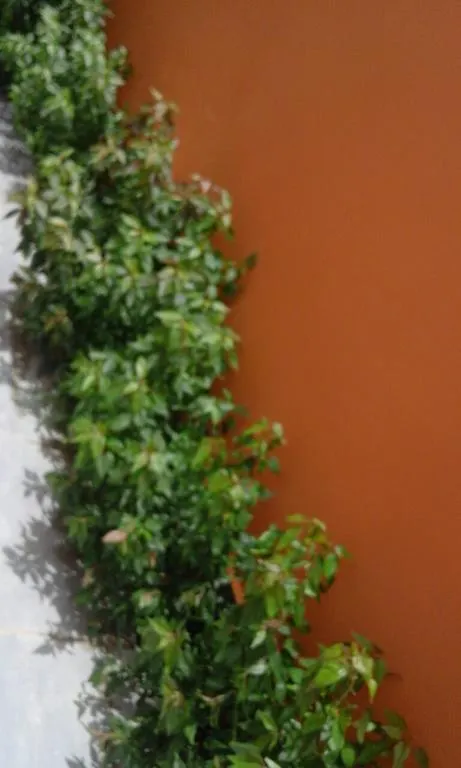 La Maison Orange Willa Dakar